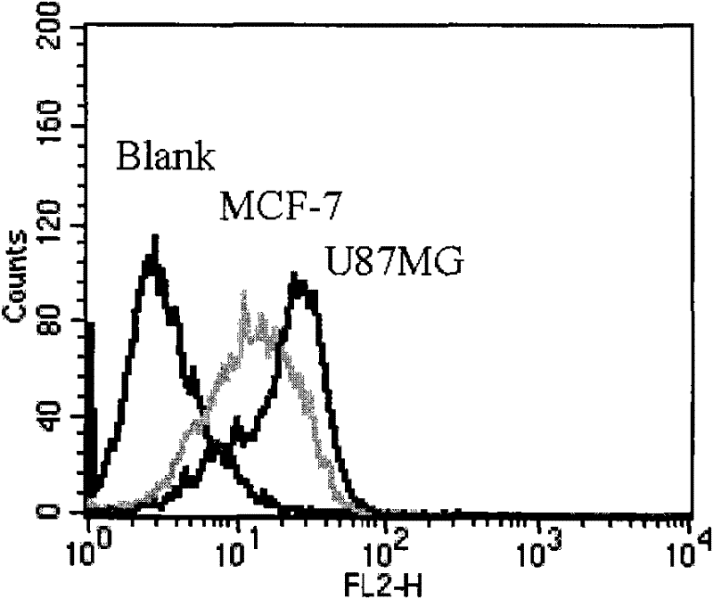 Phosphorescent iridium complex capable of targeting tumor cell