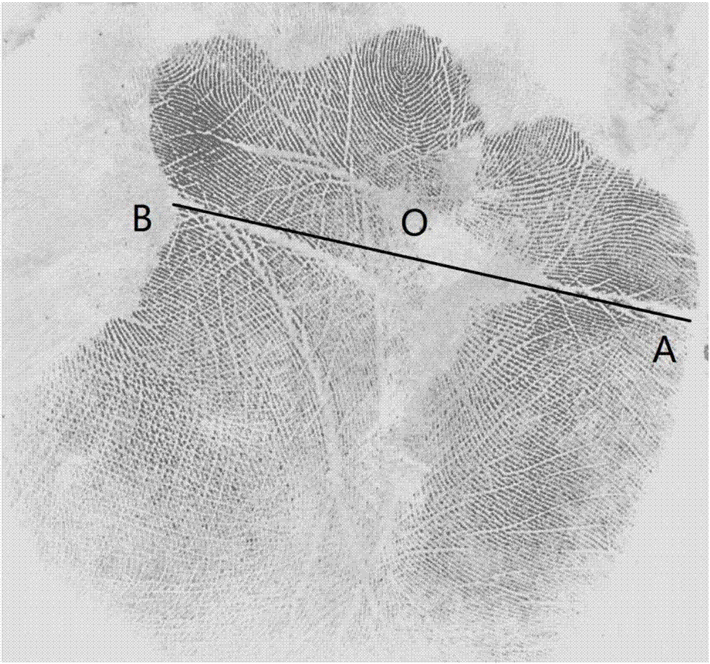 Large-scale palm print coding and comparison method