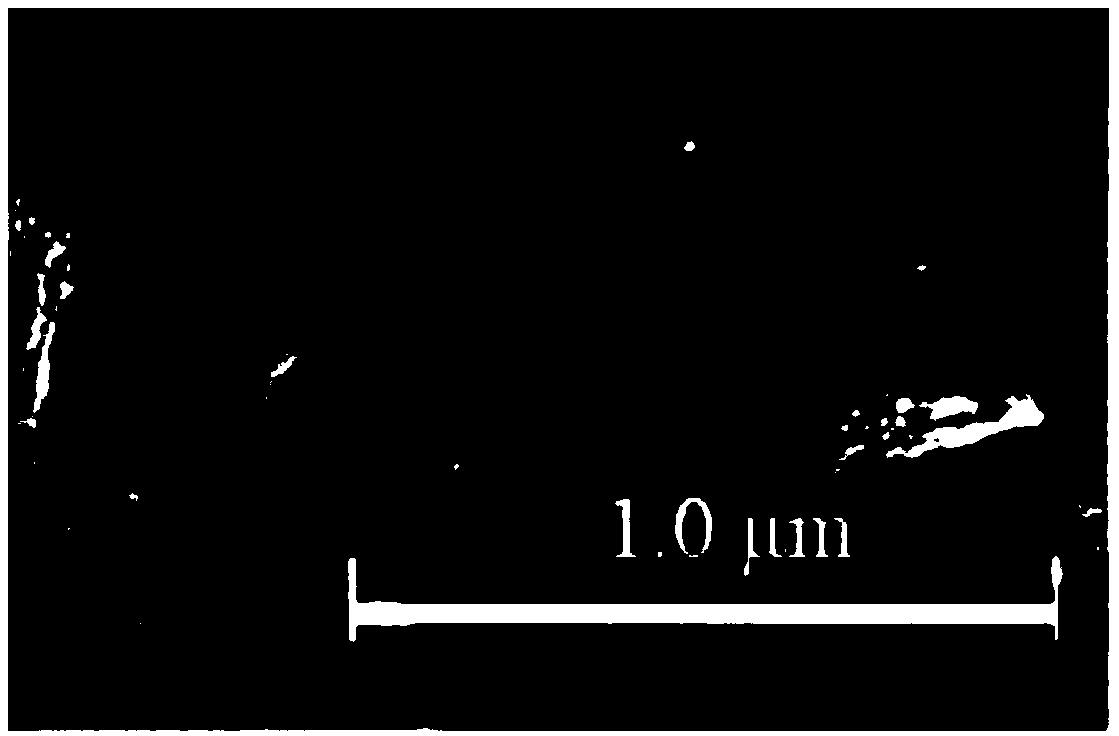 A kind of cufeo2-carbon nanotube nanocomposite and its synthesis method