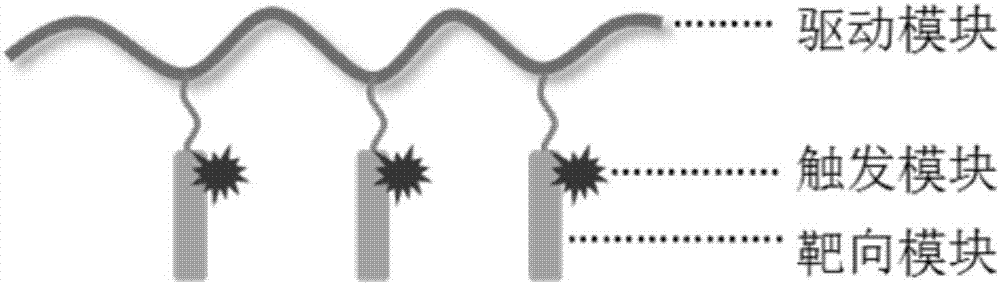 Macromolecular temperature-sensitive driver and preparation method and application thereof