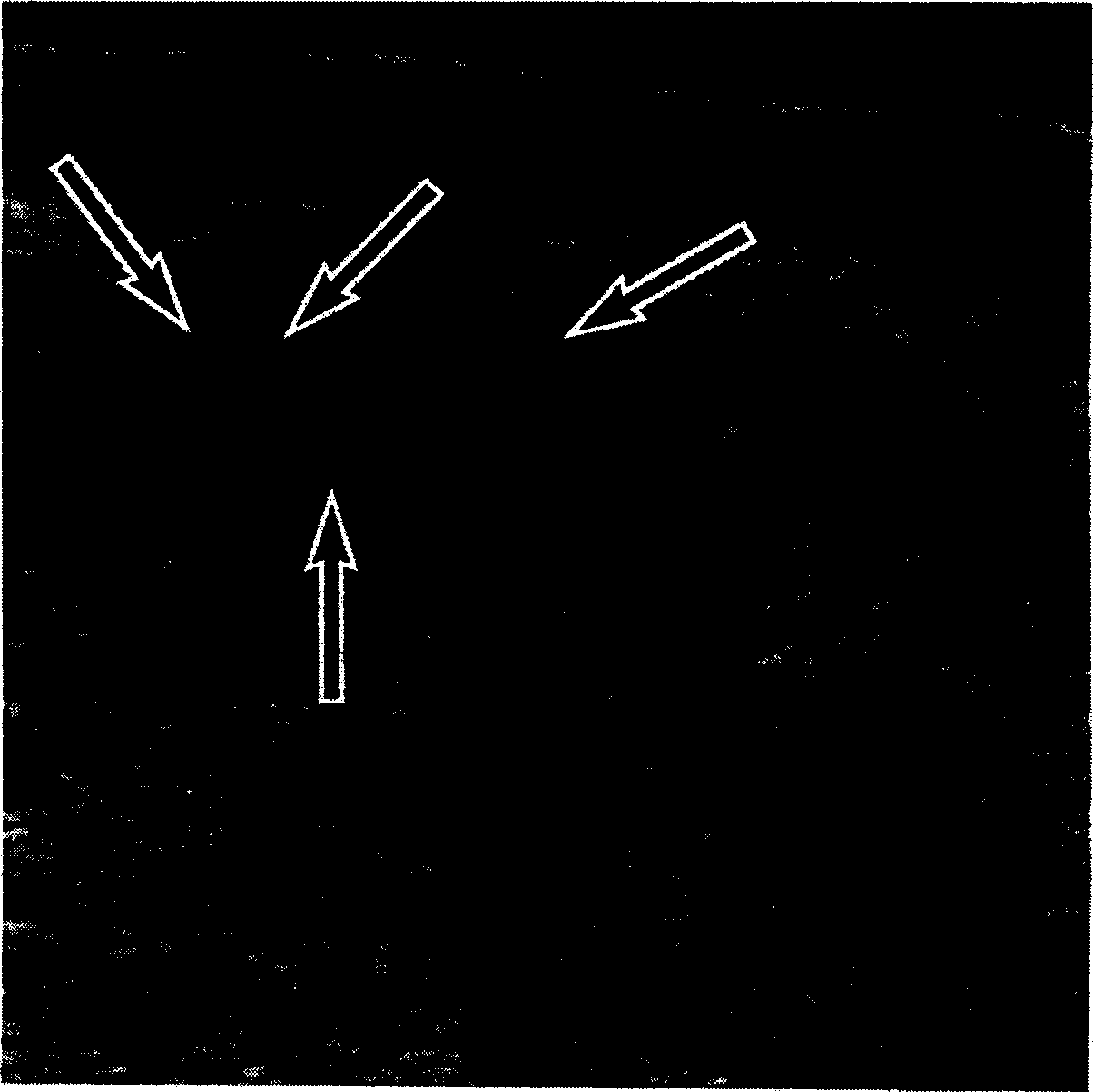 Method of three dimensional display for filtered faultage radiography after reproducing three-dimensional data successfully