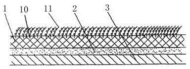 Cortex meliae-containing carpet with function of purifying air