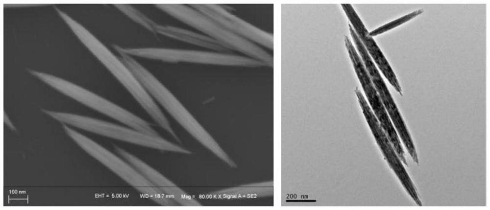 Tungsten oxide-polypyrrole core-shell heterostructure nanowires and preparation method thereof