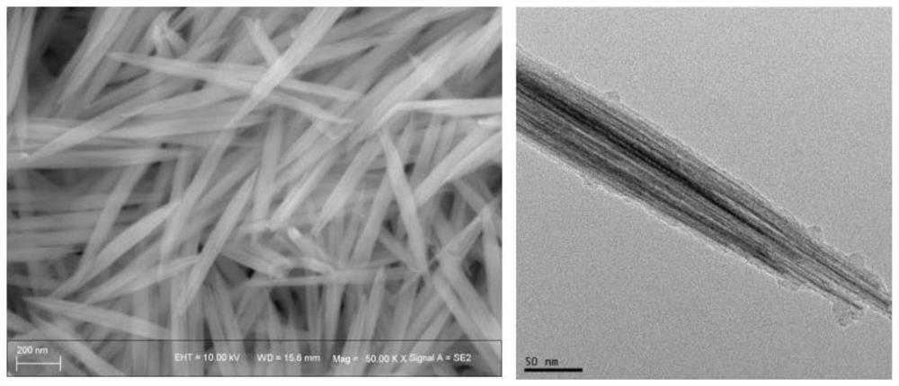 Tungsten oxide-polypyrrole core-shell heterostructure nanowires and preparation method thereof