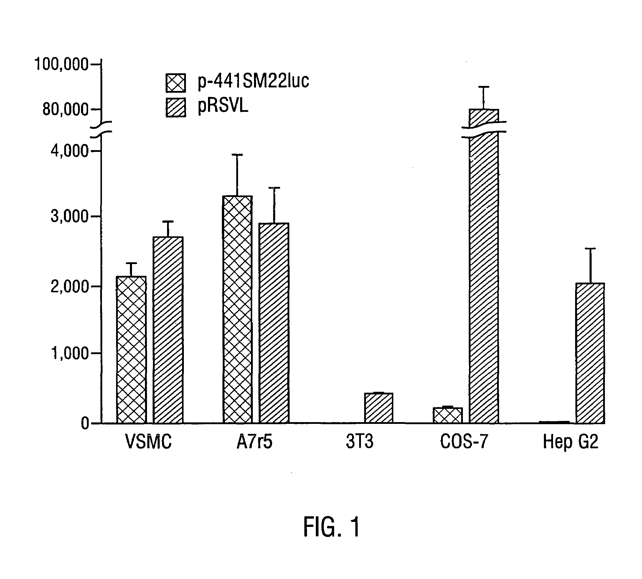 Promoter for smooth muscle cell expression