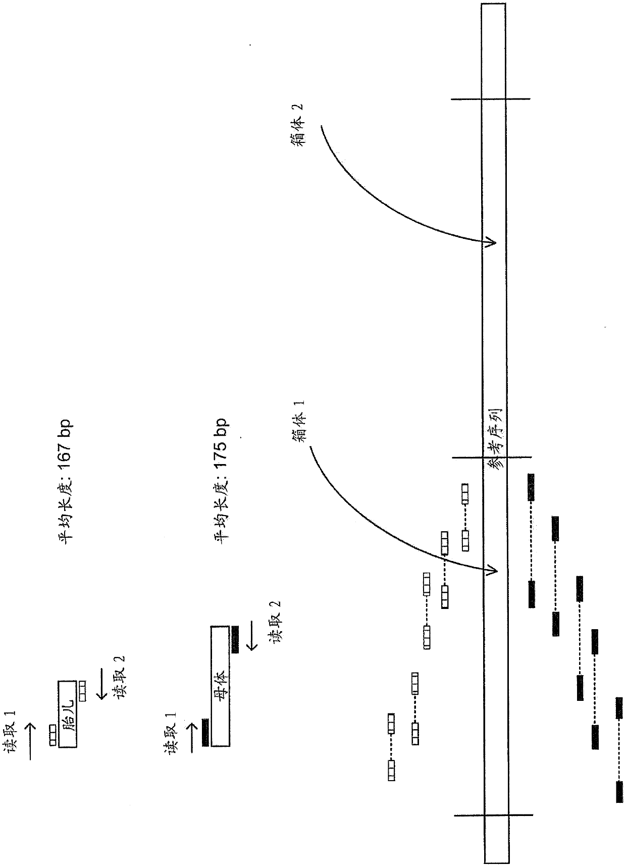 USing cell-free DNA fragment size to determine copy number variations