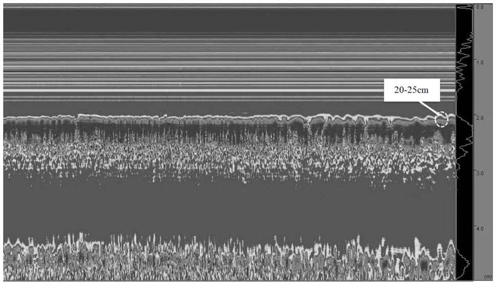 Method for rapidly identifying shallow lake sediment pollution layering information through shallow cutting