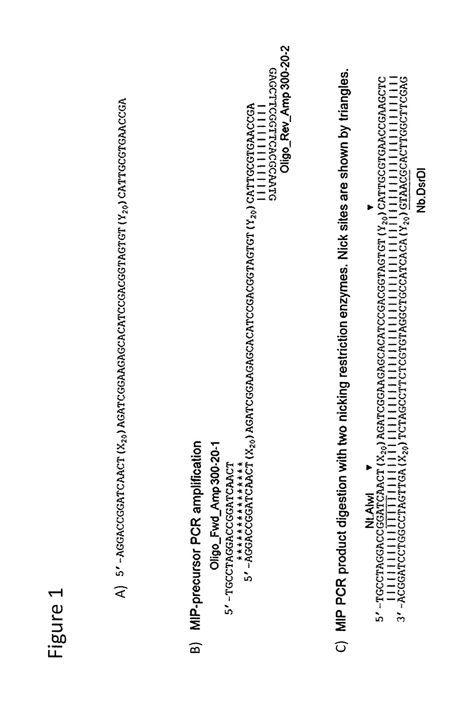 Sequence capture method using specialized capture probes (heatseq)