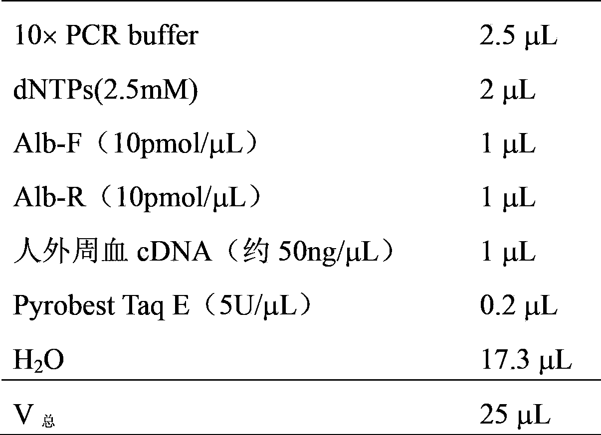 Method for producing human serum albumin by using animal mammary gland and expression vector thereof