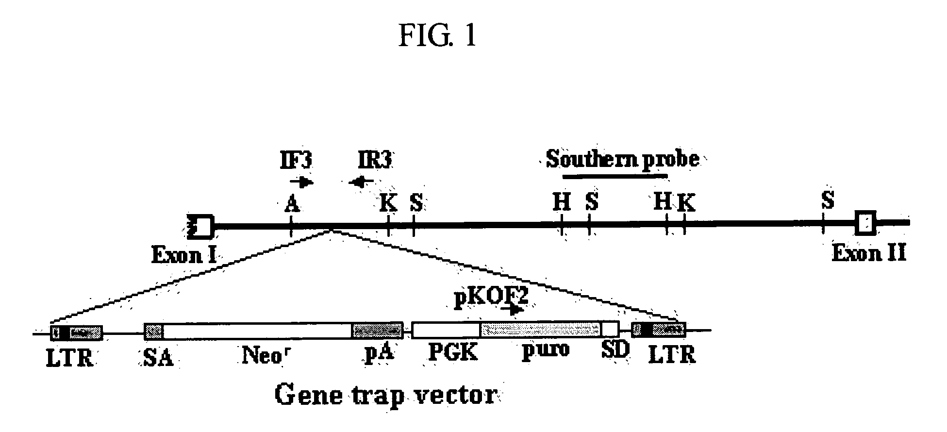 Method for stimulating wound healing