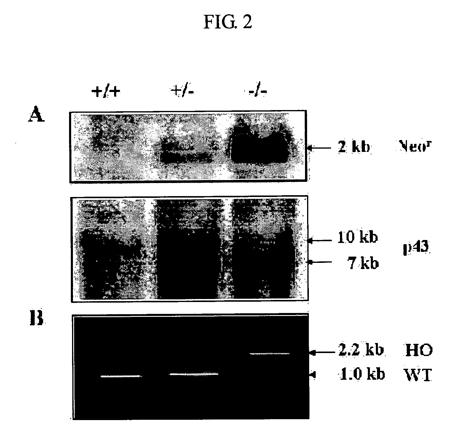 Method for stimulating wound healing