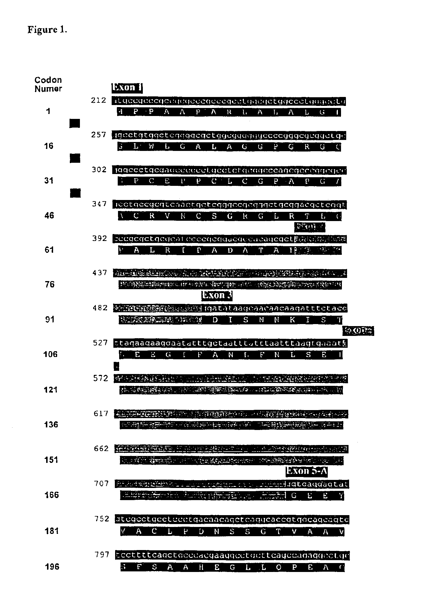 Compositions and methods for genetic analysis of polycystic kidney disease