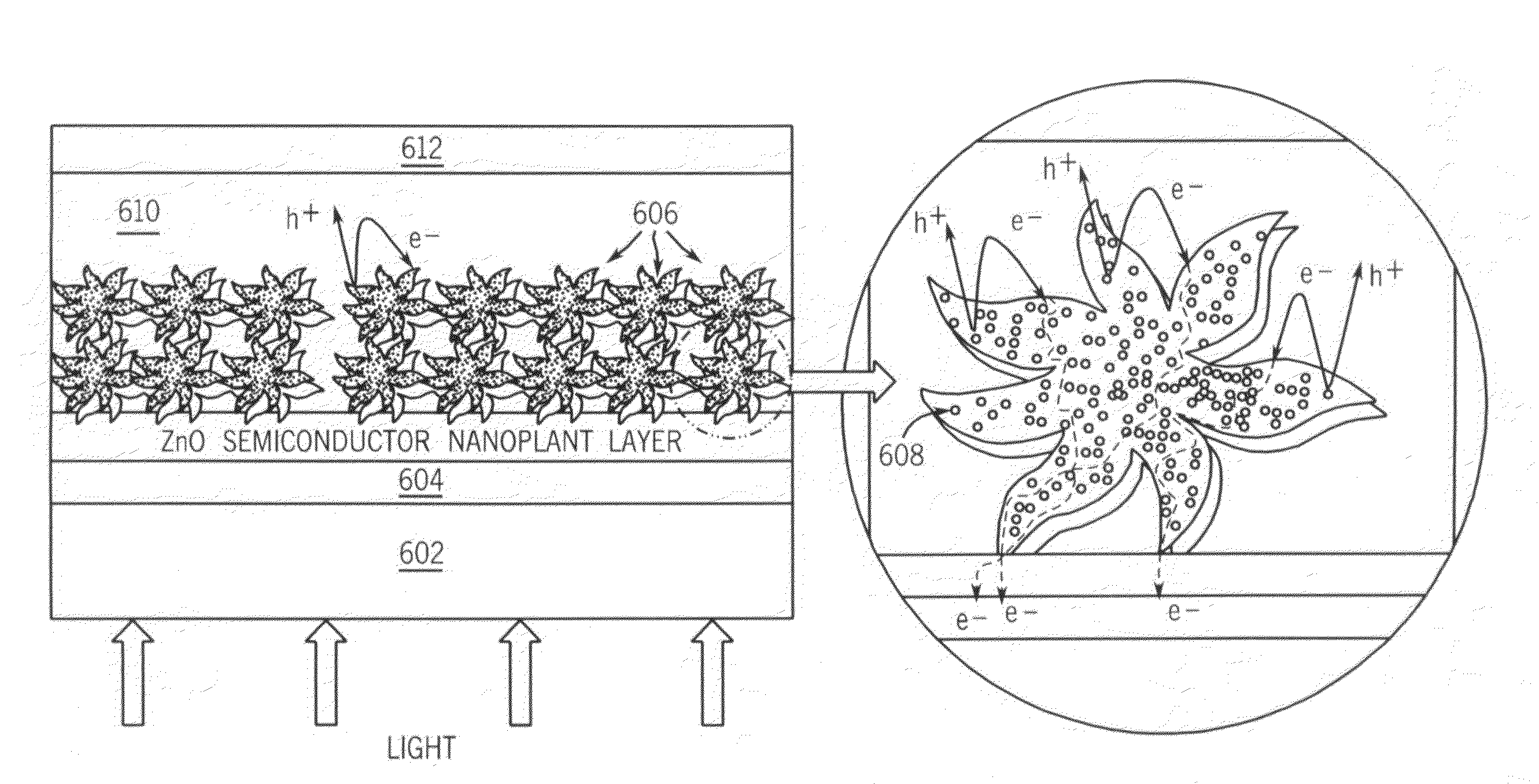 METHODS OF FABRICATING NANOSTRUCTURED ZnO ELECTRODES FOR EFFICIENT DYE SENSITIZED SOLAR CELLS