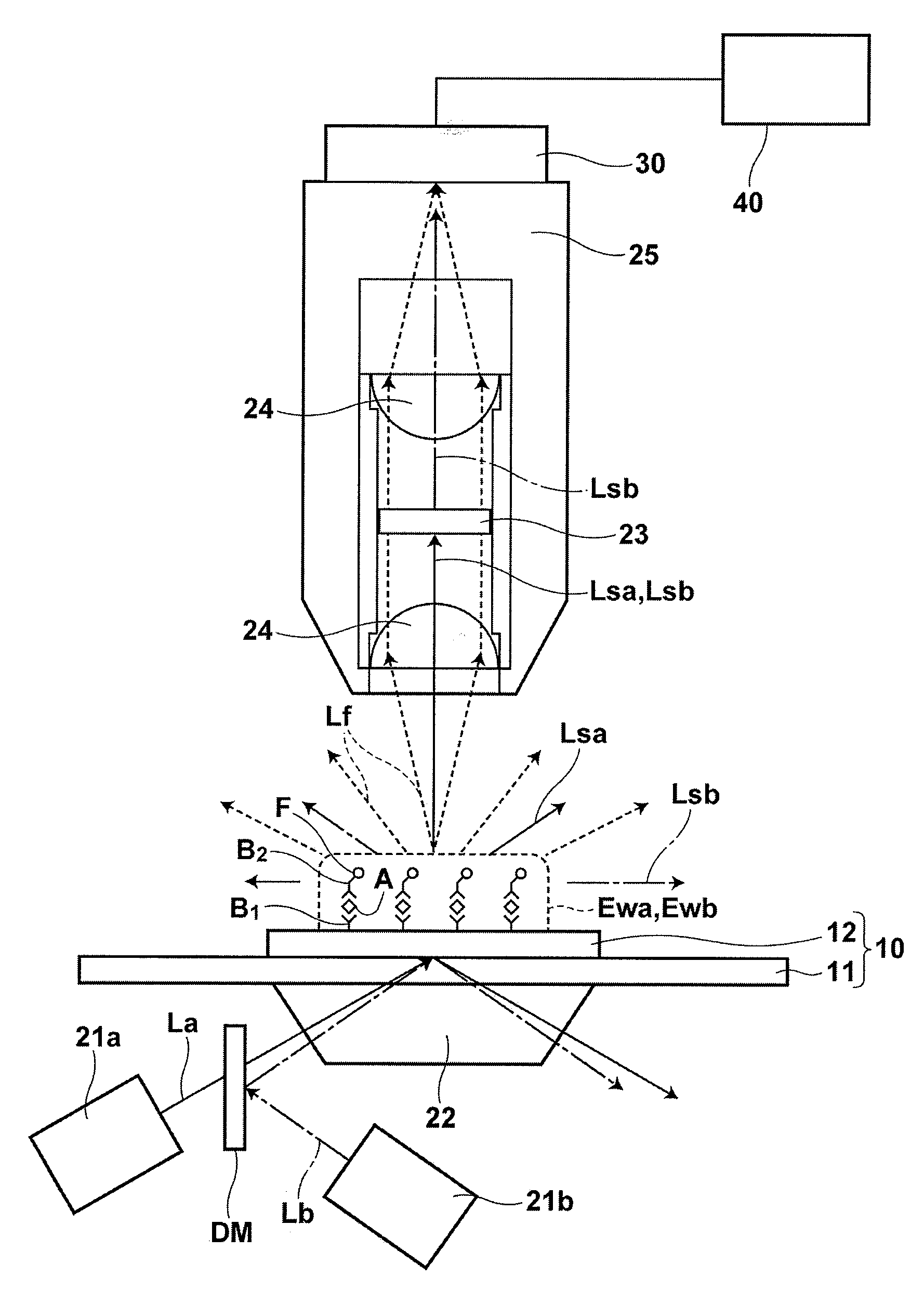 Flourescence detecting method and fluorescence detecting apparatus