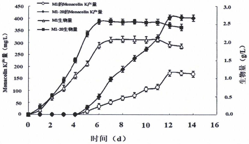 Method for synergistically fermenting low-salt fermented bean curds by multifunctional bacteria and application