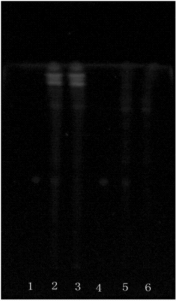 Mass control method for medicinal composition for treating hepatitis