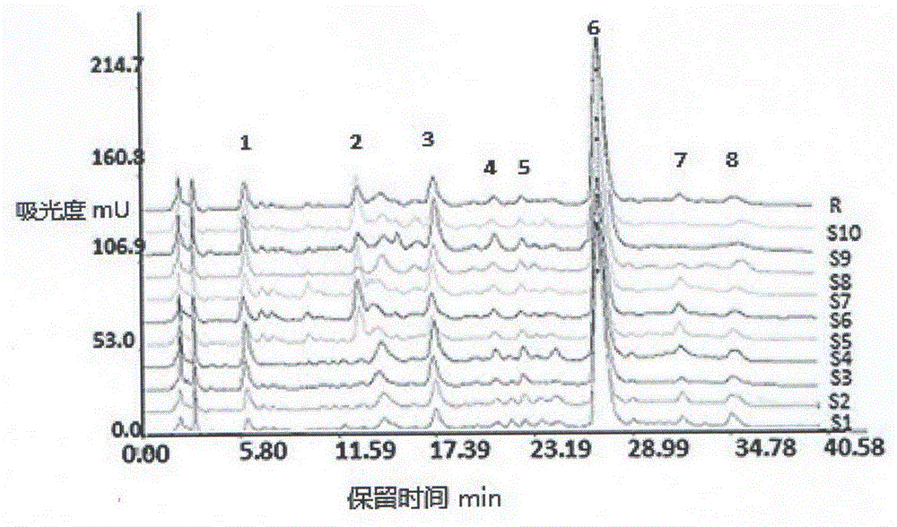 Applications of safflower extract with definite spectrum-effect relationship