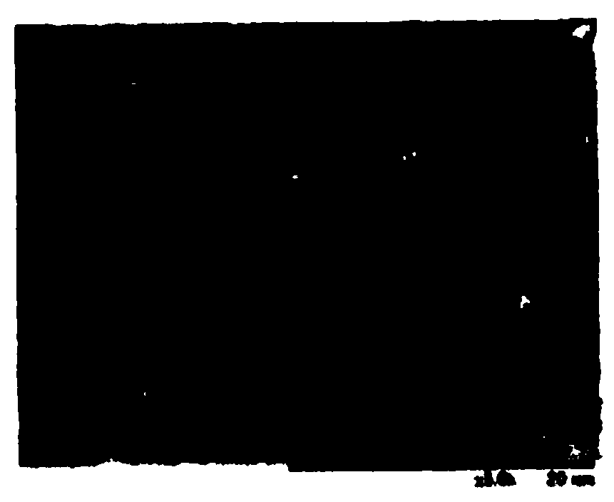 Zeolite membrane, its production method, and separation method using the zeolite membrane