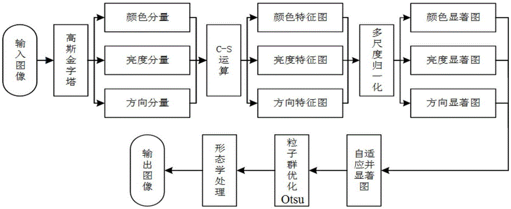 Particle swarm optimization ITTI model-based white cell region extraction method