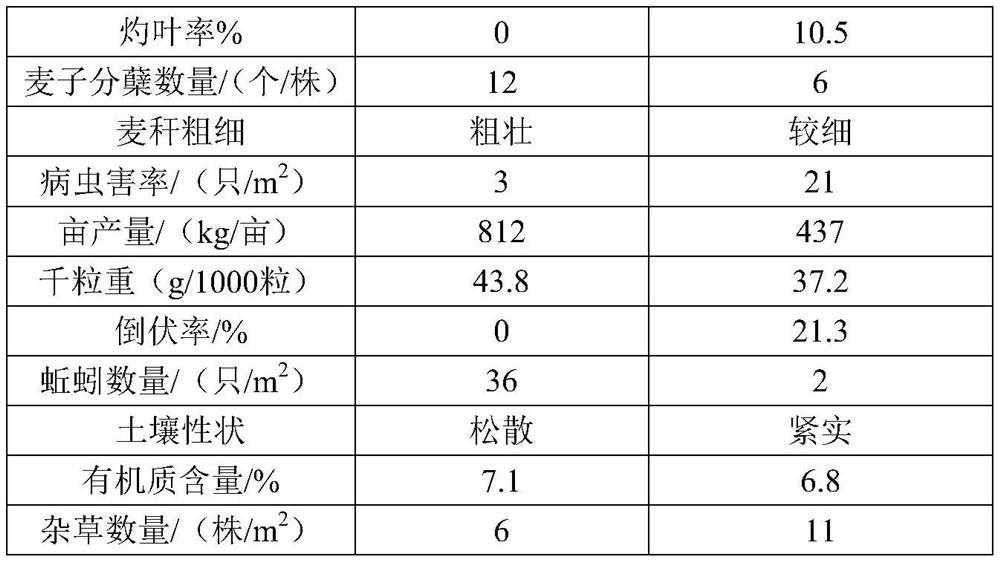 Micro-nano organic fertilizer