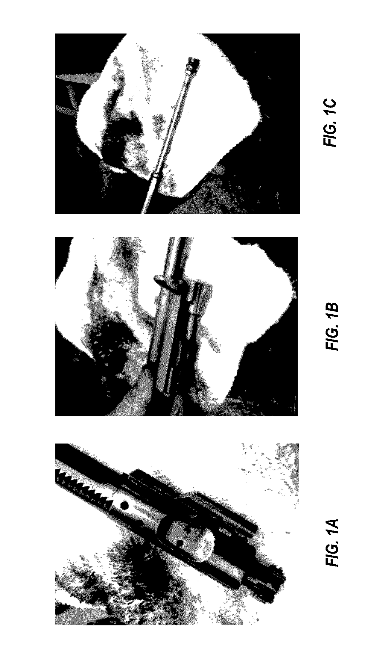 Gun oil composition