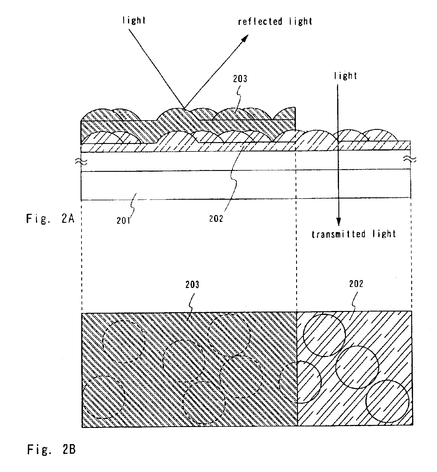 Method of manufacturing an LCD having the amorphous portion of a transparent conductive layer removed