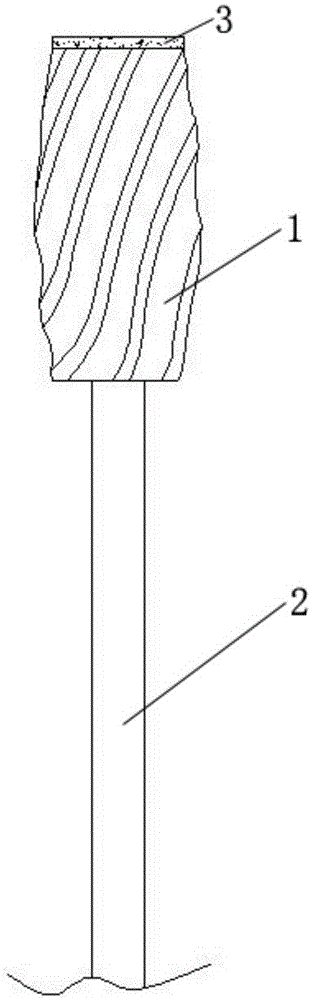 Tooth polishing head