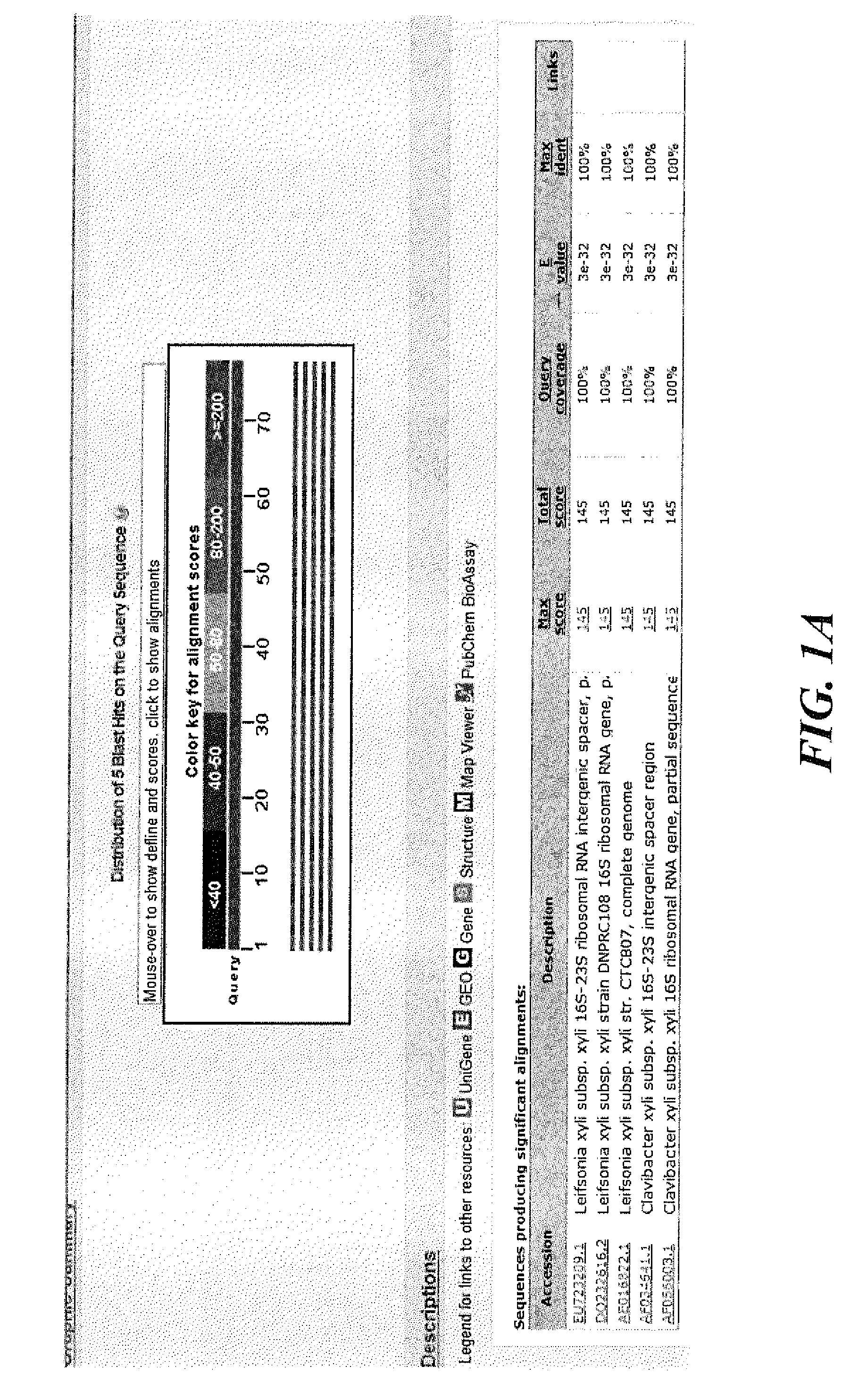 Methods and kits for detection of a pathogen in sugarcane