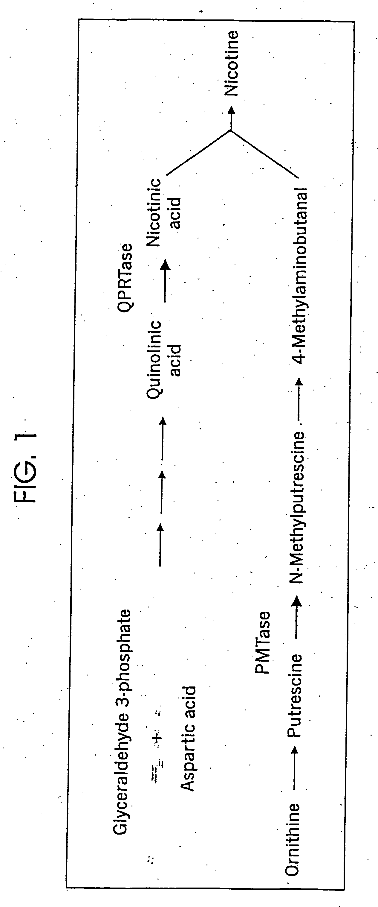 Tobacco products with reduced nicotine