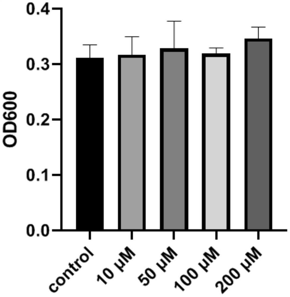 Pharmaceutical composition for treating oral diseases