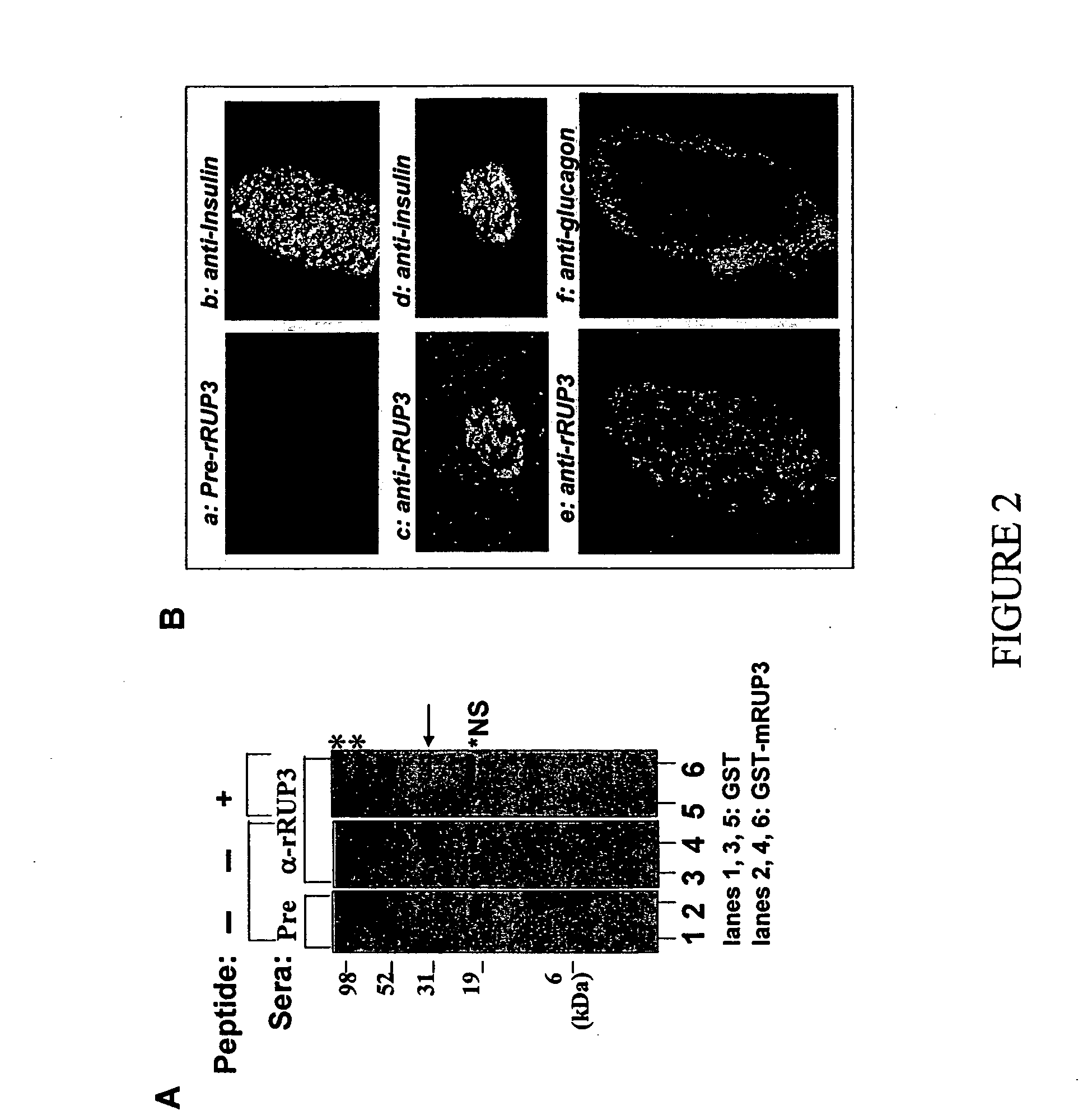 Substituted aryl and heteroaryl derivatives as modulators of metabolism and the prophylaxis and treatment of disorders related thereto