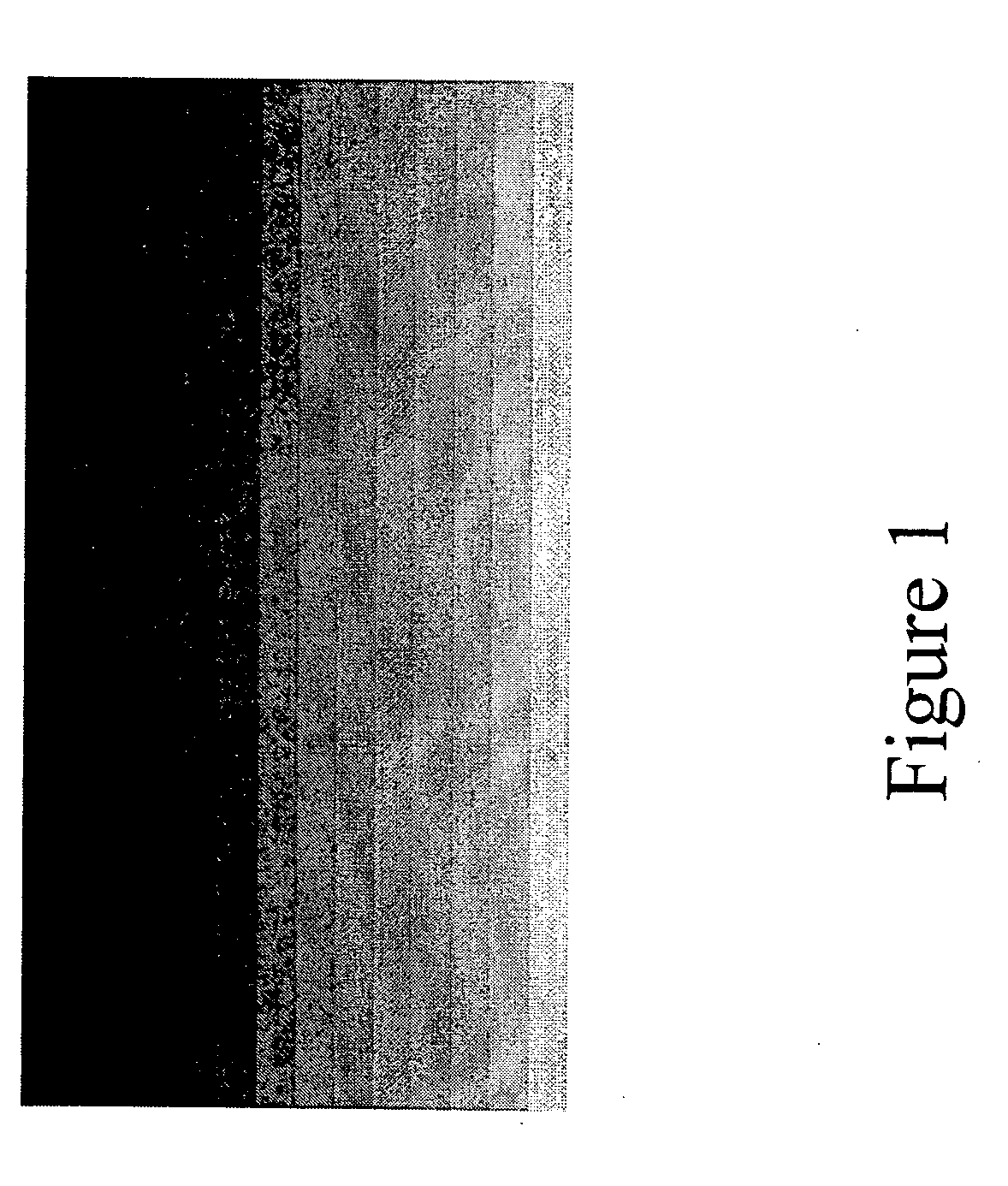 Multilayer polymer gradient index (GRIN) lenses