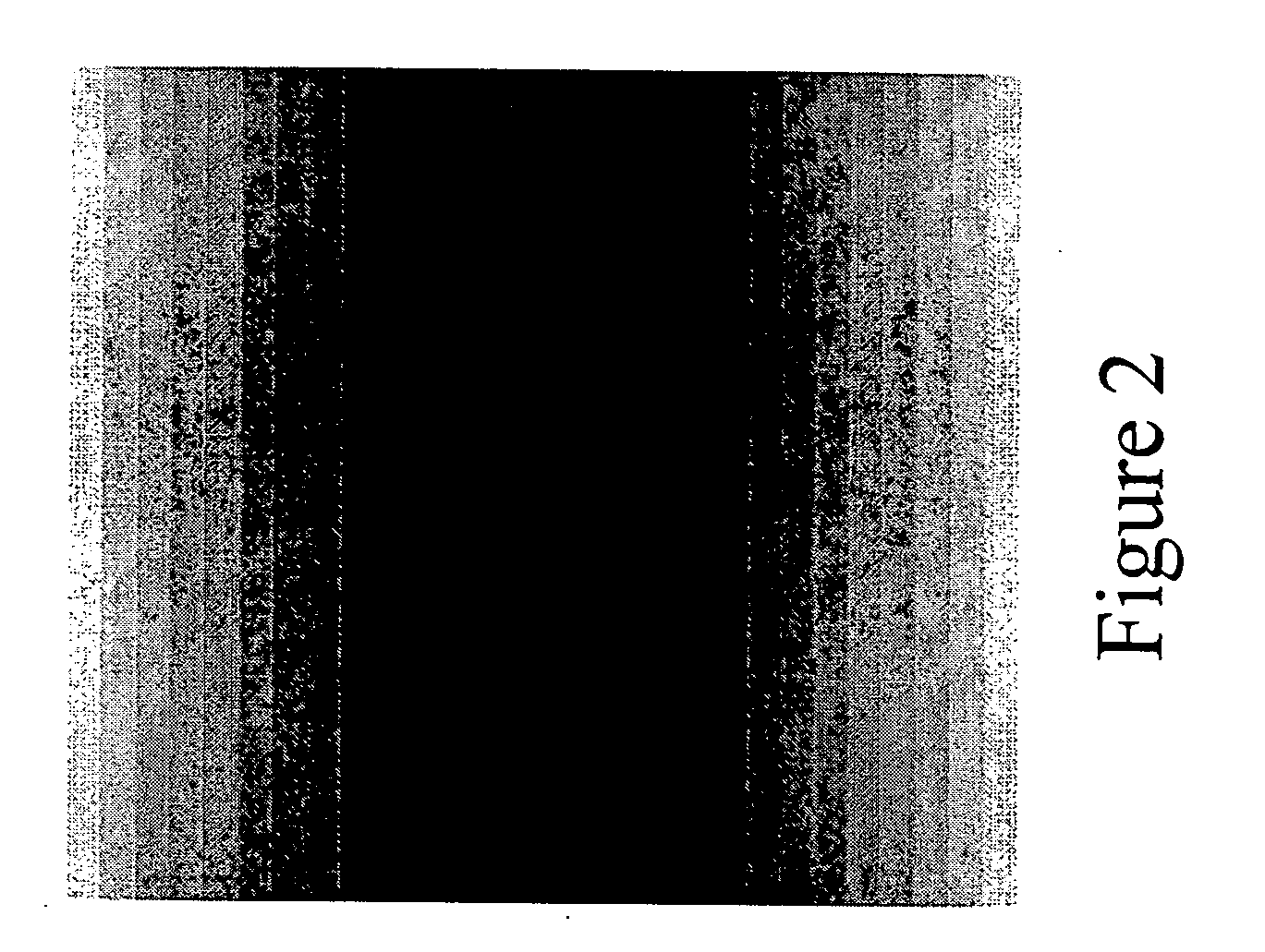 Multilayer polymer gradient index (GRIN) lenses