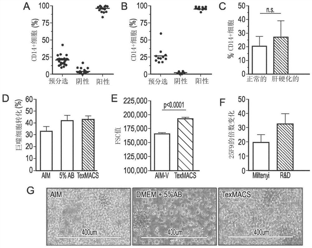 Macrophage-based therapy