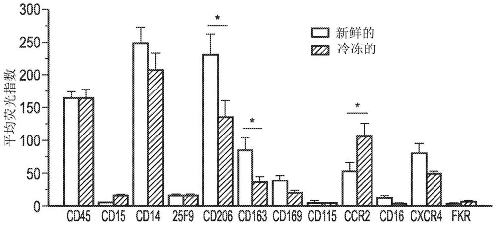 Macrophage-based therapy