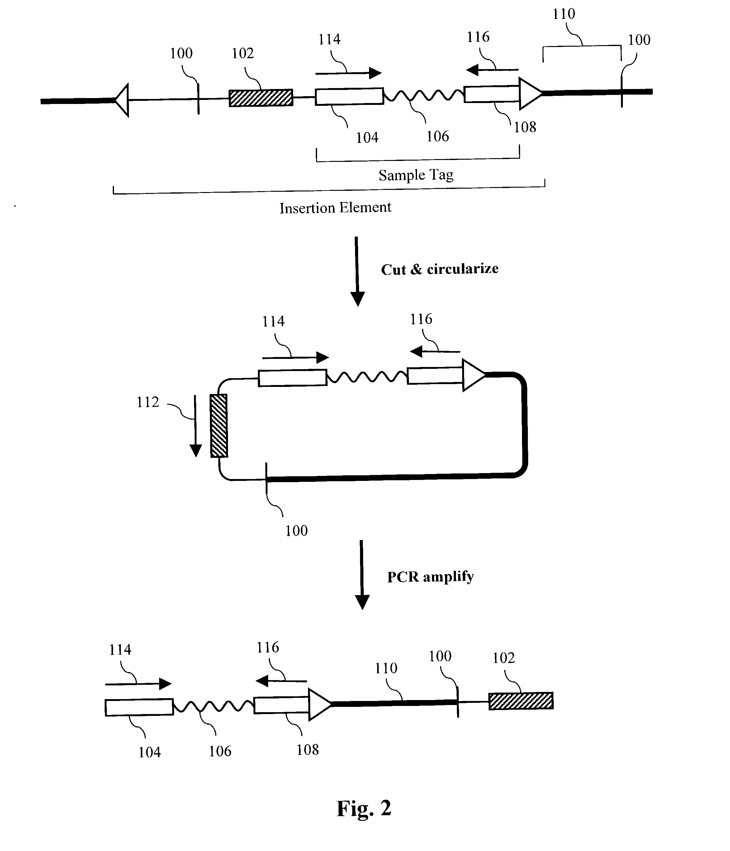 Applications of parallel genomic analysis