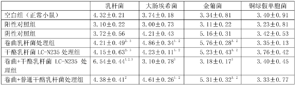 Complex microbial inoculant for regulating balance of gynecological flora