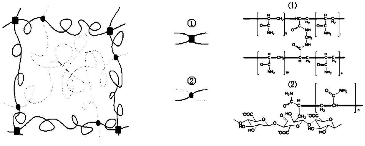 A kind of sodium alginate-acrylamide composite hydrogel and its preparation method and application