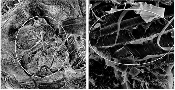 A method for preparing high-strength wood-plastic material