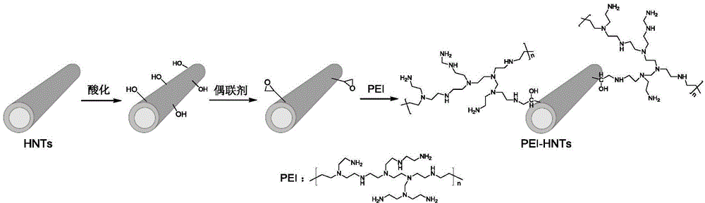 Halloysite nanotube / epoxy nanocomposite