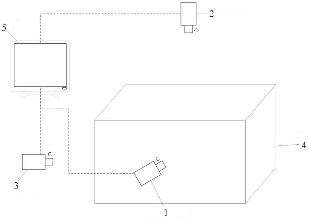 Non-contact type fish morphological phenotype automatic acquisition device and method