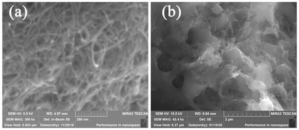 Dodecyl amine modified carbon nanotube demulsifier as well as preparation method and application thereof