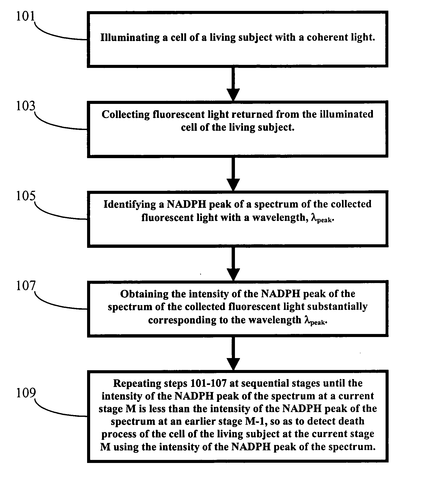 Method and apparatus for optical spectroscopic detection of cell and tissue death