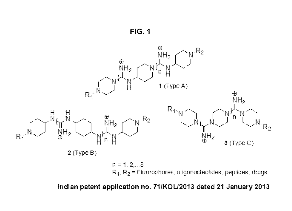 Oligo-guanidines based cellular transporter comprising heterocyclic rings with hydrophobic and/or lipophilic groups at n-terminal for effective delivery of nonpenetrable cargos in-vitro and in-vivo