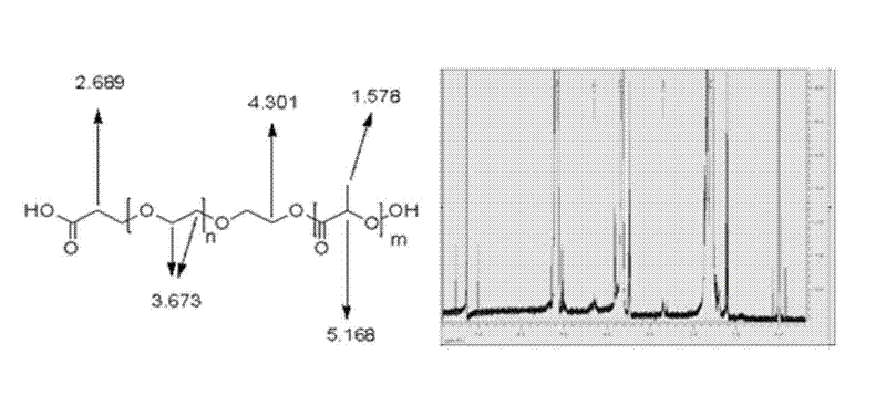 Purpose of immunological nanoparticles of brucine in preparing anti-hepatoma target drugs