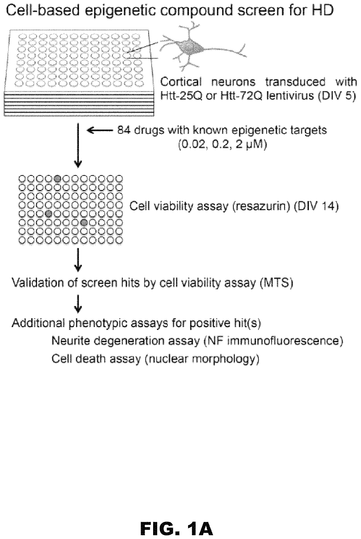 Methods of treating neurodegenerative disorders comprising DNA methyltransferase inhibitors