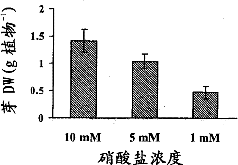 Nitrogen responsive early nodulin gene