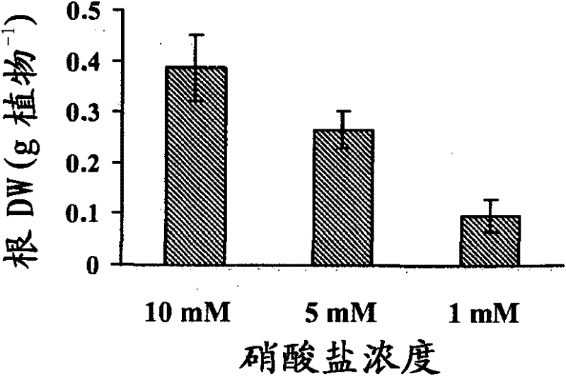 Nitrogen responsive early nodulin gene