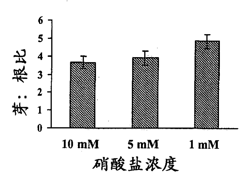 Nitrogen responsive early nodulin gene