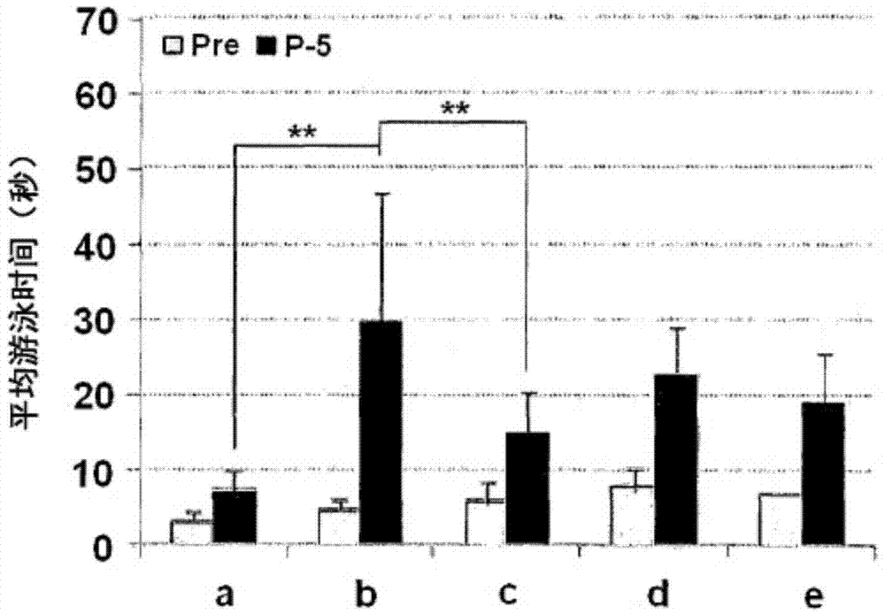 Pharmaceutical composition for preventing or treating hearing impairment containing cilostazol and ginkgo biloba extract as active ingredients